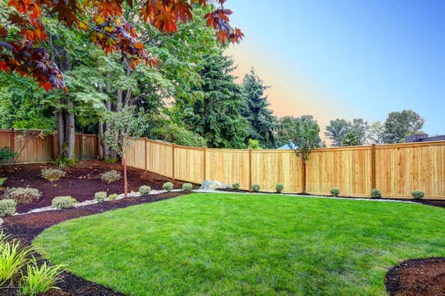 <p>Essential tools to keep your garden tidy</p>