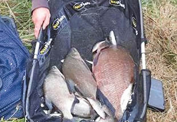 A 7lb bream helped Neil Shearn win at Olney