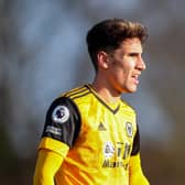 Theo Corbeanu has joined MK Dons on loan from Wolves