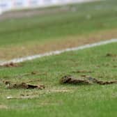 There have been some pretty big divots taken out of the surface at Stadium MK recently, and the grounds staff have their work cut-out to keep the pitch up to playing standard 