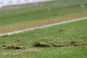 There have been some pretty big divots taken out of the surface at Stadium MK recently, and the grounds staff have their work cut-out to keep the pitch up to playing standard 