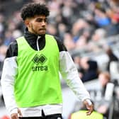 Kaine Kesler-Hayden is yet to make an appearance at Stadium MK but could be in line to start against Bolton on Saturday
