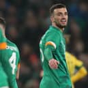 Troy Parrott smiles after celebrating his winner for Ireland in the week