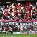 There are plenty of reasons for MK Dons supporters to be excited about the summer ahead
