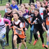 Some of the MMKAC athletes in the U11 girls’ race