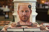 Prince Harry's memoir is being parodied by Bruno Vincent (Pic:Getty)