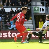 Henry Lawrence’s second-half strike earned Dons a point at Derby County on Easter Monday