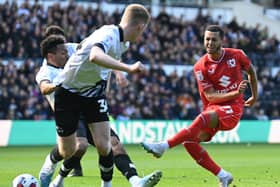 Nathan Holland admitted his first season at MK Dons has been a frustrating one