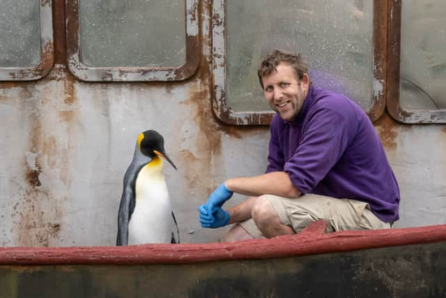 Penguin Spike is pictured with keeper Alistair Keen 