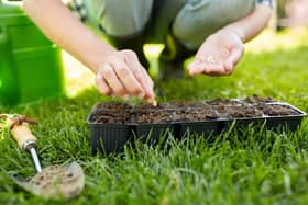 Help mum to grow her own flowerrs with seeds (photo: adobe)