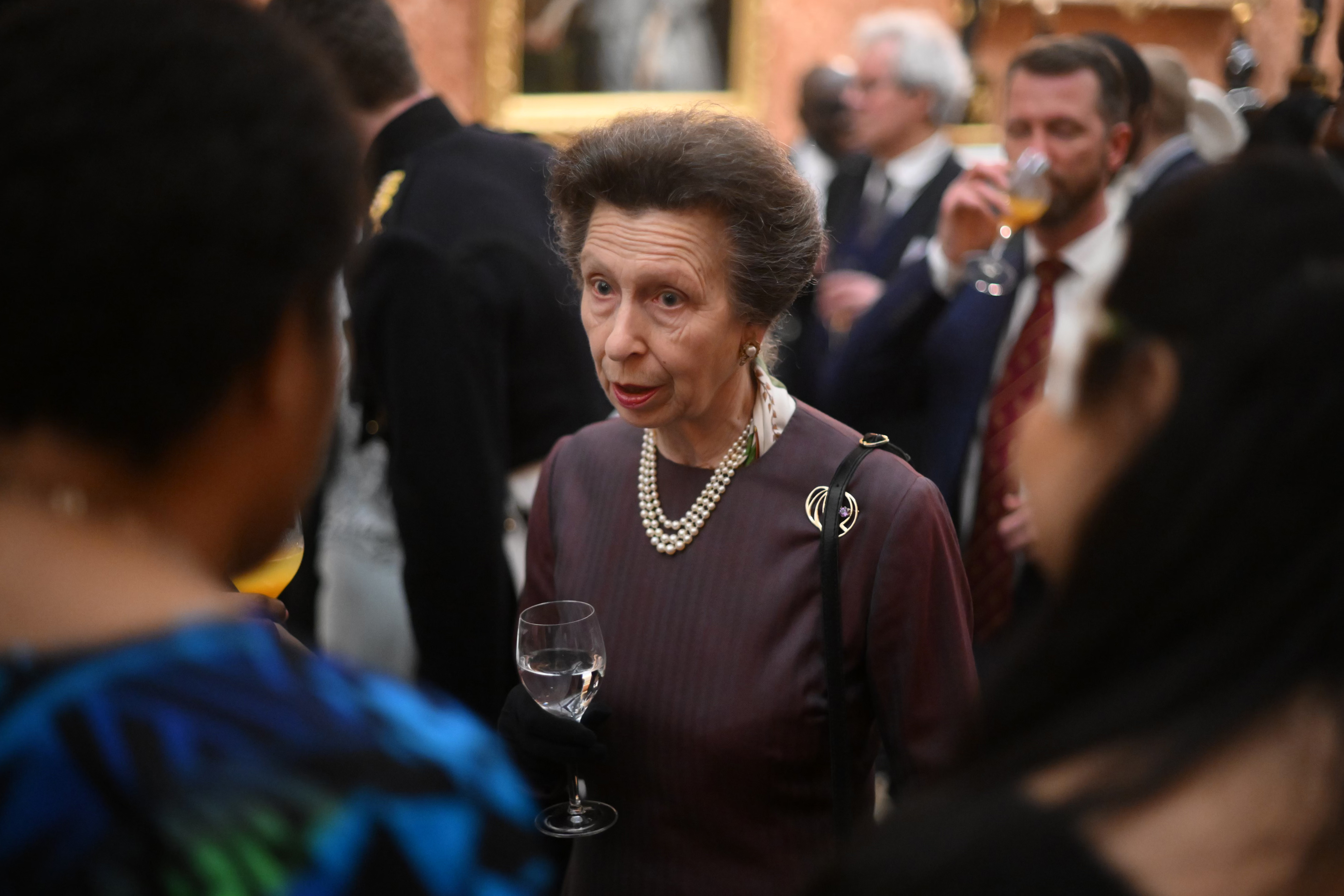 Princess Anne: becoming King ‘won’t change’ Charles