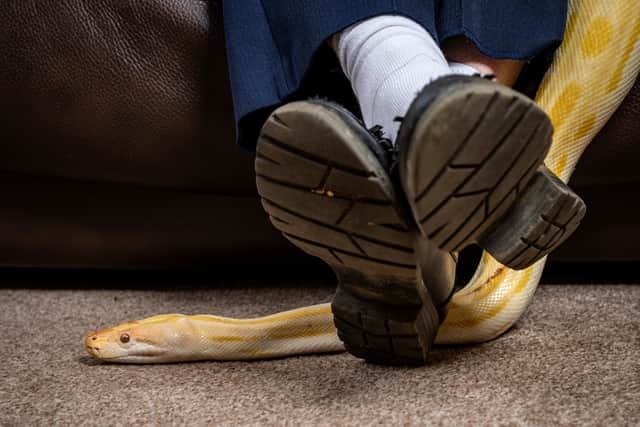 Rosemary Kin,63 with Amun-Ra her nine foot pet Burmese python