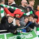 Newport Pagnell Town supporters