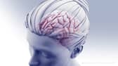 Alzheimer’s disease: New vaccine ‘could reduce or prevent’ impact of illness and ‘eliminate toxic cells’ 