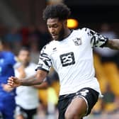 Ellis Harrison
