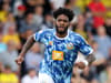 Who is MK Dons’ latest signing - Ellis Harrison?