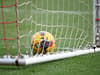 Goal-line technology 'justifiable' in League Two now - Williamson
