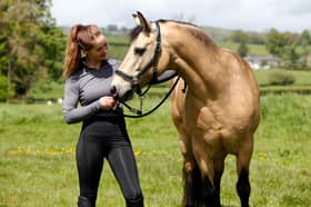 Harry Hall have revealed the most popular horse names in the UK