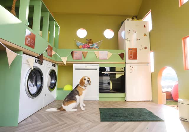 The ‘Forever Home’, created by Hotpoint UK, has partnered up with animal welfare charity, Blue Cross so it can inspire potential dog owners to consider rehoming as an option.