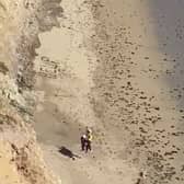 Surfer rescued from beach after spelling “Help” on the sand.
