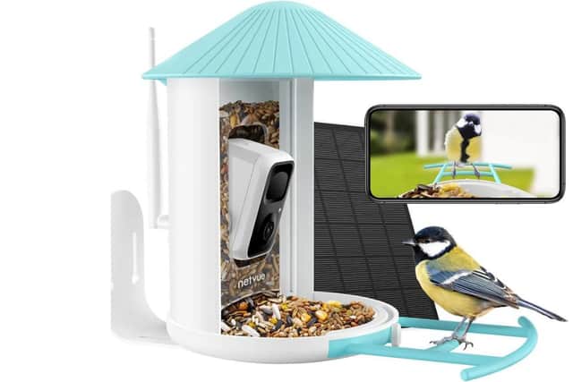 The Birdfy smart bird feeder