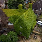 The extraordinary virginia creeper covered house in Bromley, South London which has become a local landmark with tourists stopping to take photos outside it. 