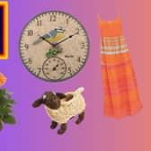 Aldi's Garden Event starts this weekend