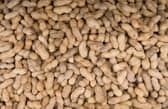Chocolate company Prestat has recall some of its items due to an undeclared peanut allergen (Photo by AFP via Getty Images)