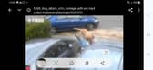 A video captured an attack by dog in Dagnam Crescent, Arbourthorne. Picture: South Yorkshire Police