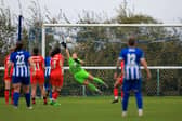 Time have been tough for MK Dons Women this season. Pic: CTF Photography