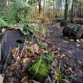 Barrels though to contain tar or bitumen dumped during the 1920s at Nightingale Valley in Bristol. 