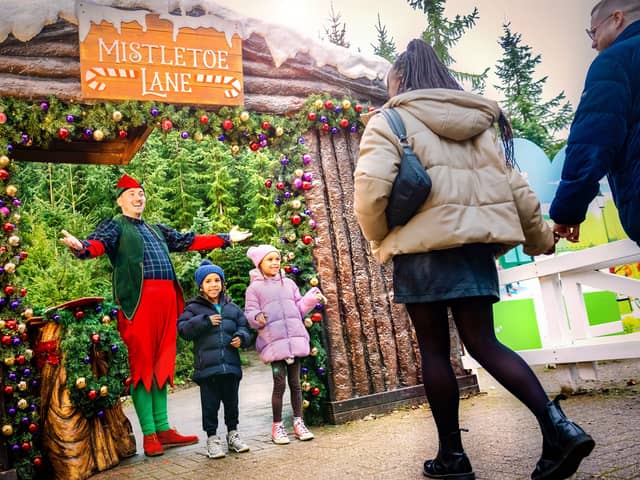 Alton Towers is turned into a Christmas wonderland at this time of year