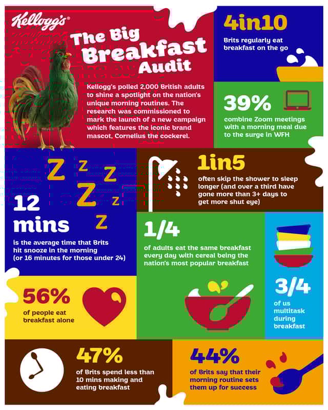 The Big Breakfast Audit
