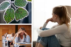 This time of year can be a lot for students 