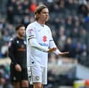Danilo Orsi urging his team-mates to calm down