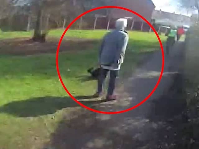 A woman who was walking her dog stepped out in front of the man, allowing officers to apprehend him.