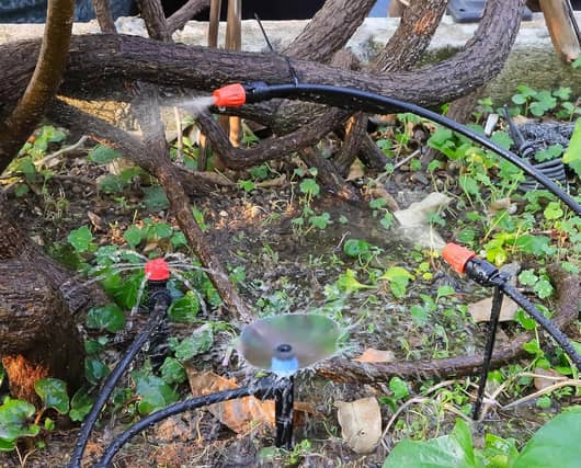 Automatic irrigation systems allow you to enjoy your garden without having to water it yourself