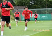 Plans have emerged for MK Dons' changes to their Woughton on the Green training ground