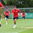 Plans have emerged for MK Dons' changes to their Woughton on the Green training ground