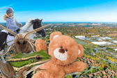 What events are taking place over the late May half-term break in Milton Keynes to occupy the whole family before the big summer holidays?