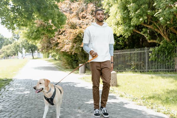 There’s nothing better than taking your dog for a walk.