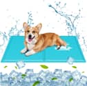 Amazon's cooling mats are an absolute bargain right now