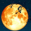 The Buck Moon will rise on July 10 at around 10pm.