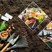 There are dozens of fruits and veggies in season this month