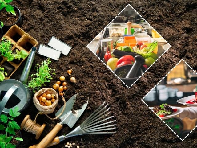 There are dozens of fruits and veggies in season this month