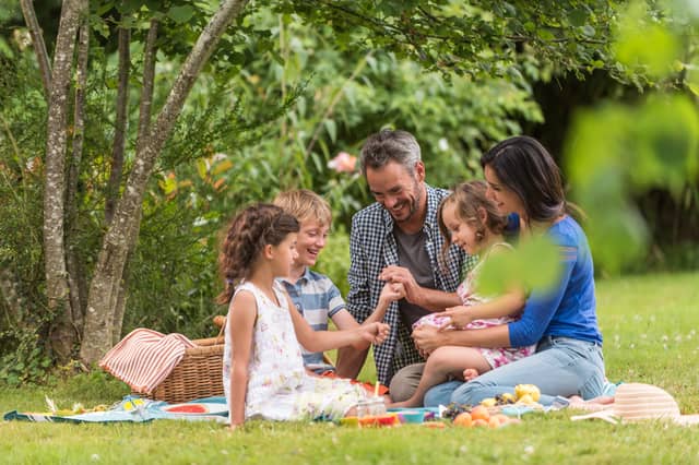 Sainsbury's three for £8 picky bits promotion includes a wide range of quick and easy family favourites. Stock image.
