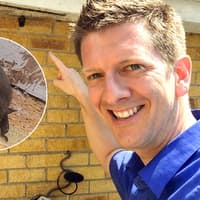 Local magician wakes up with a bat on his arm in real-life Halloween encounter