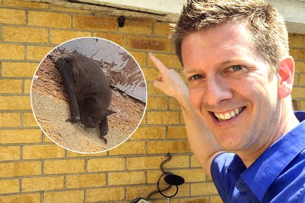 The pipistrelle bat that landed on magician Chris Garside at 2am later sheltered under the eaves of his home.