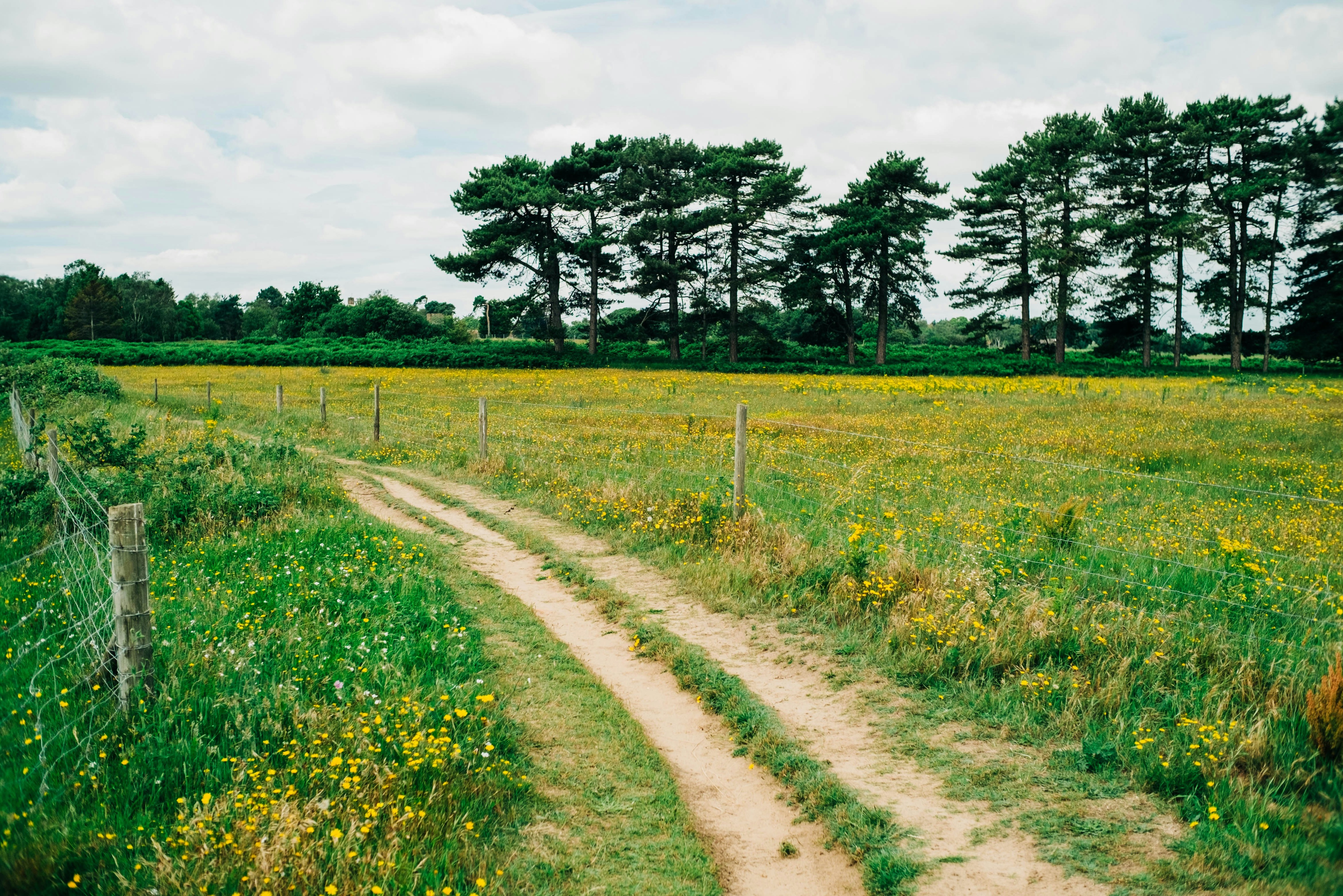 Walk near Milton Keynes named one of the UK’s most beautiful