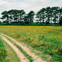 Walk near Milton Keynes named one of the UK’s most beautiful